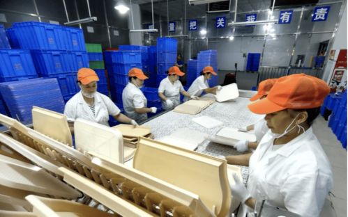 深圳餐具消毒服务机构引领技术革新，助力循环经济推广